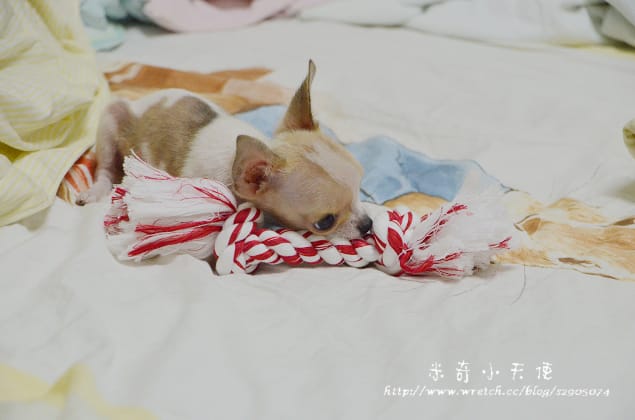 妹妹-滿三個月囉 (怎麼那麼萌丫)