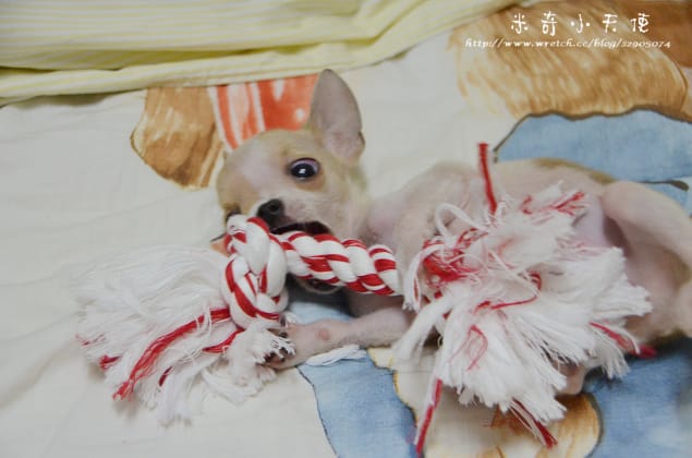 妹妹-滿三個月囉 (怎麼那麼萌丫)