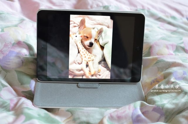 Apple – ipad mini - 第19張圖 Apple – ipad mini