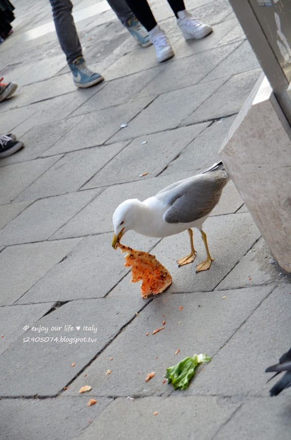 DSC_0575 DSC_0575