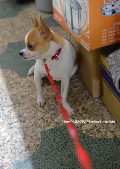 DSC_0596 DSC_0596