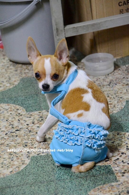 DSC_0563 DSC_0563