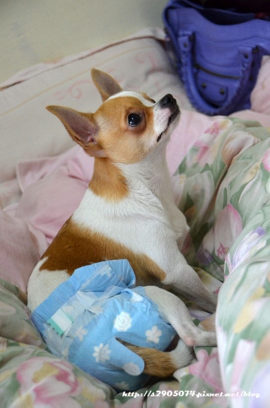 DSC_0545 DSC_0545