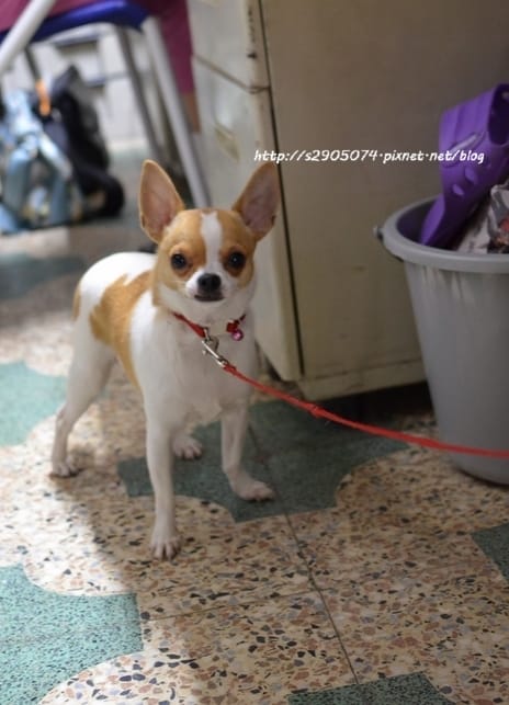 DSC_0574 DSC_0574