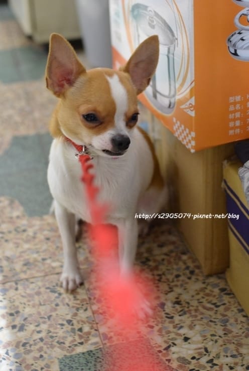DSC_0594 DSC_0594