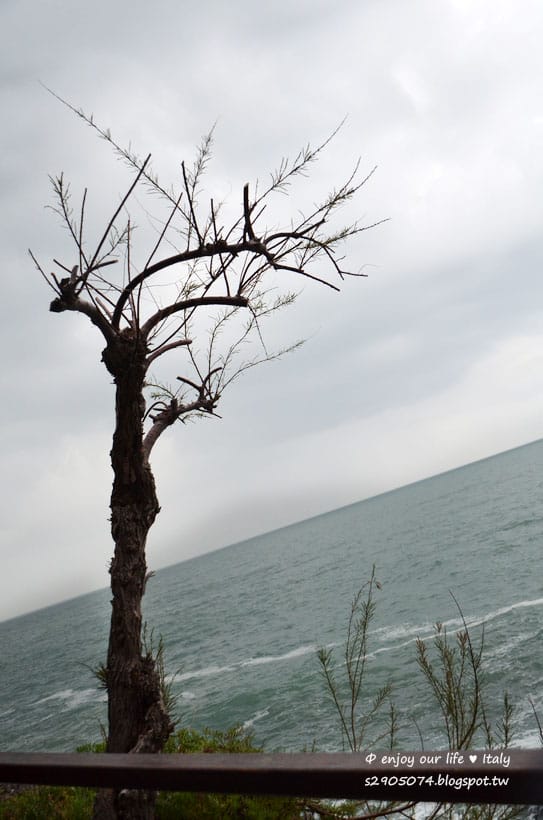 DSC_0669 DSC_0669