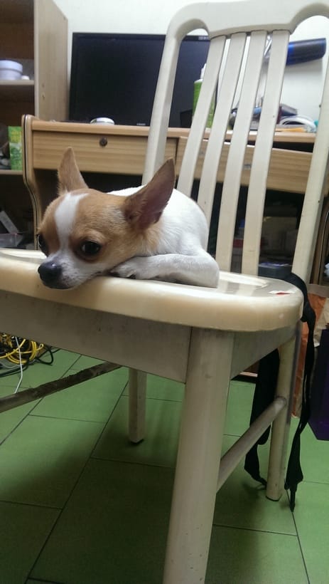 IMAG0048.jpg IMAG0048.jpg