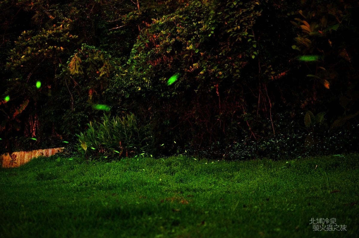 DSC_2458 DSC_2458