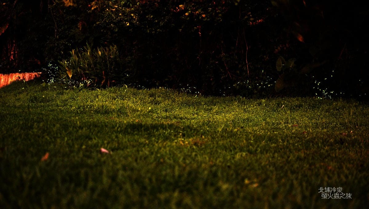 DSC_2434 DSC_2434