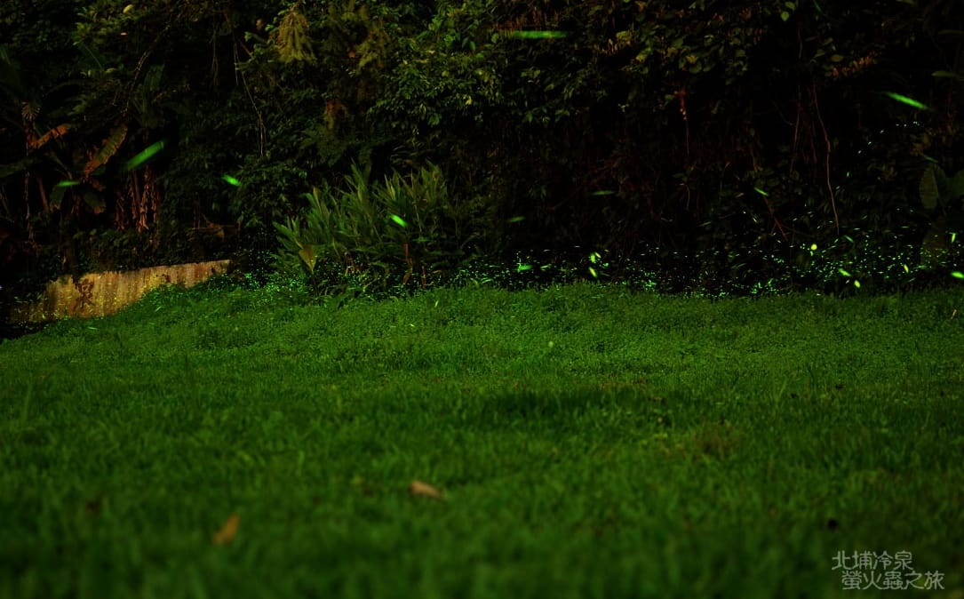 DSC_2438 DSC_2438