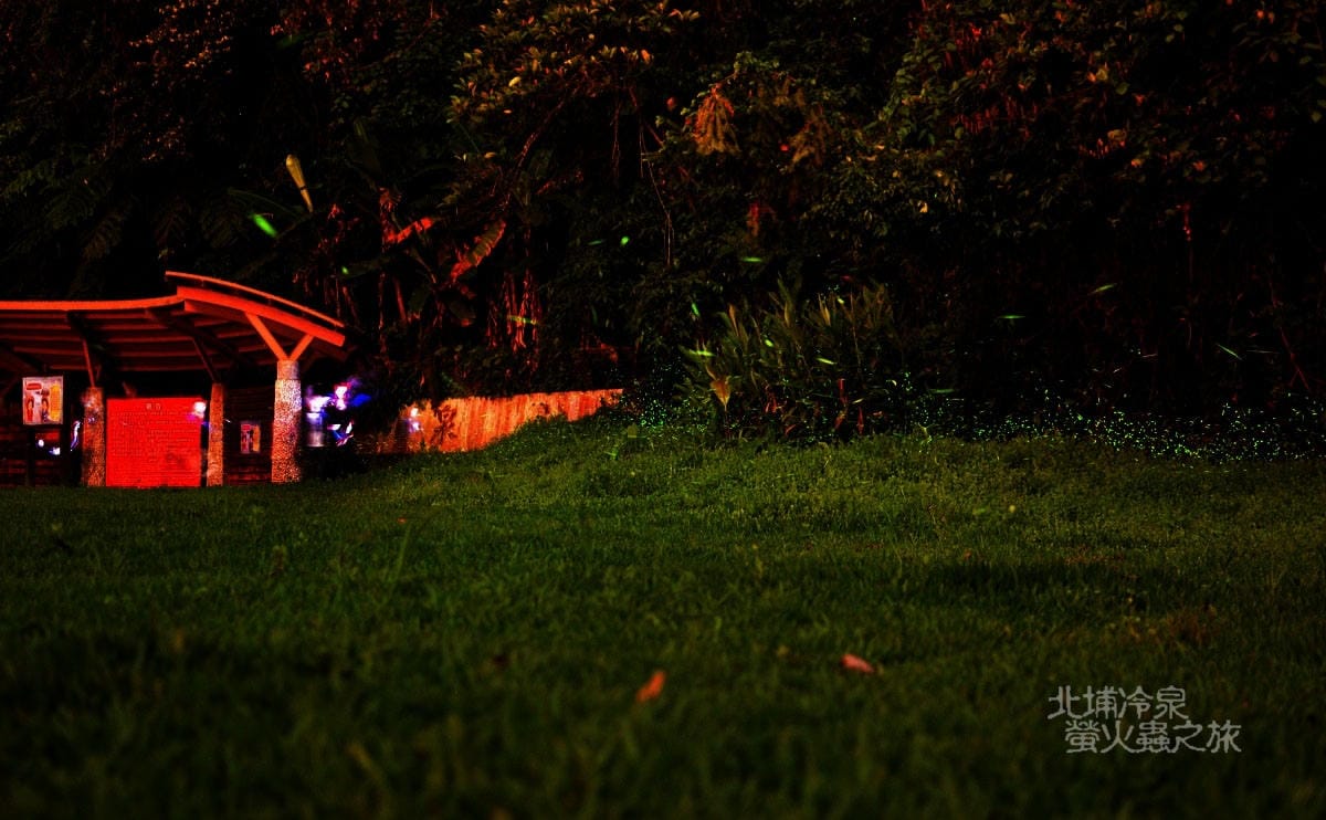 DSC_2435 DSC_2435