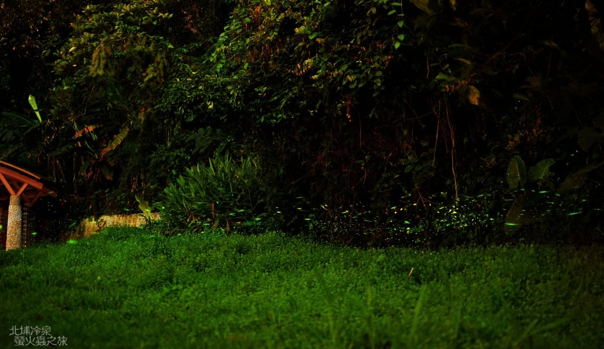 DSC_2461 DSC_2461