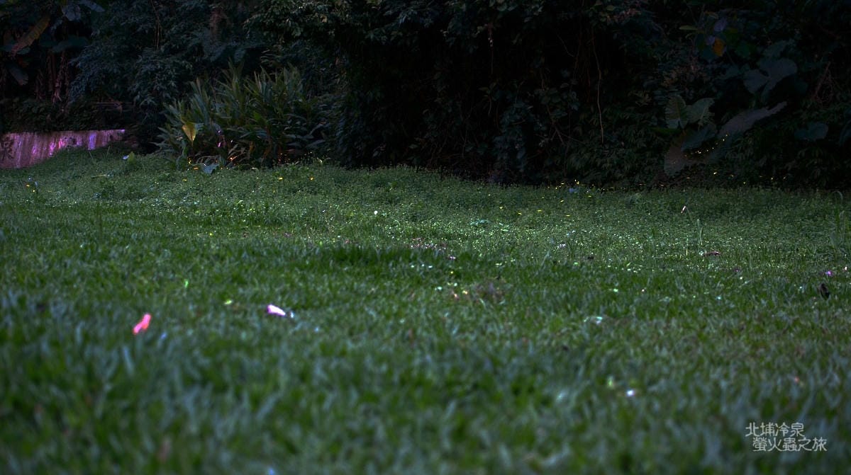 DSC_2423 DSC_2423