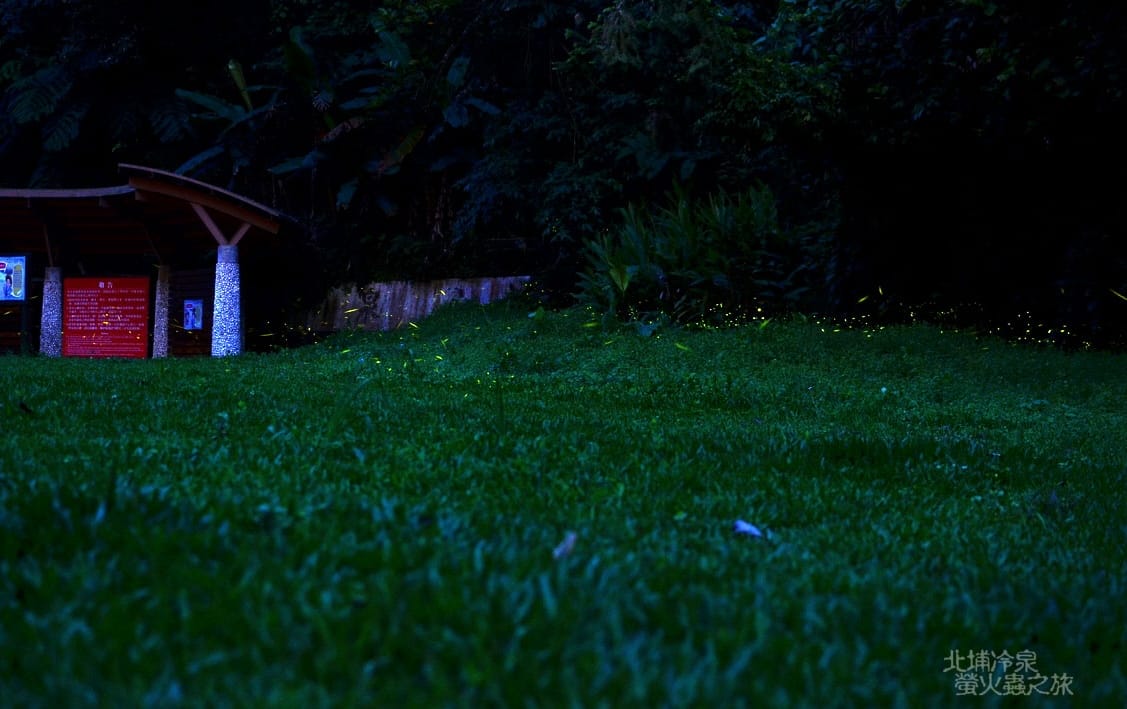 DSC_2429 DSC_2429