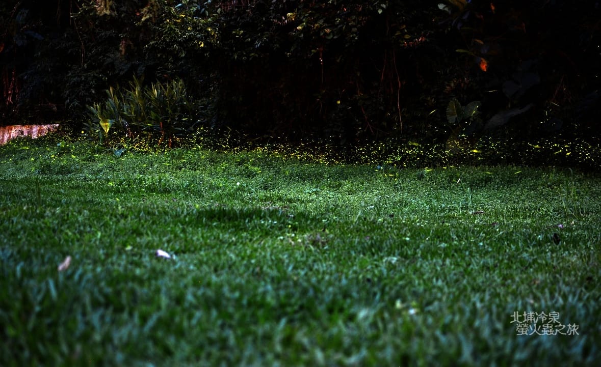 DSC_2431 DSC_2431