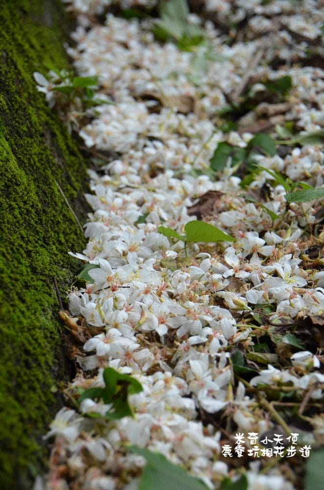 DSC_2513.jpg DSC_2513.jpg