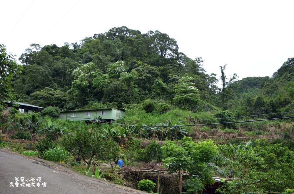 DSC_2521.jpg DSC_2521.jpg