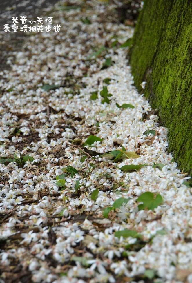 DSC_2471.jpg DSC_2471.jpg