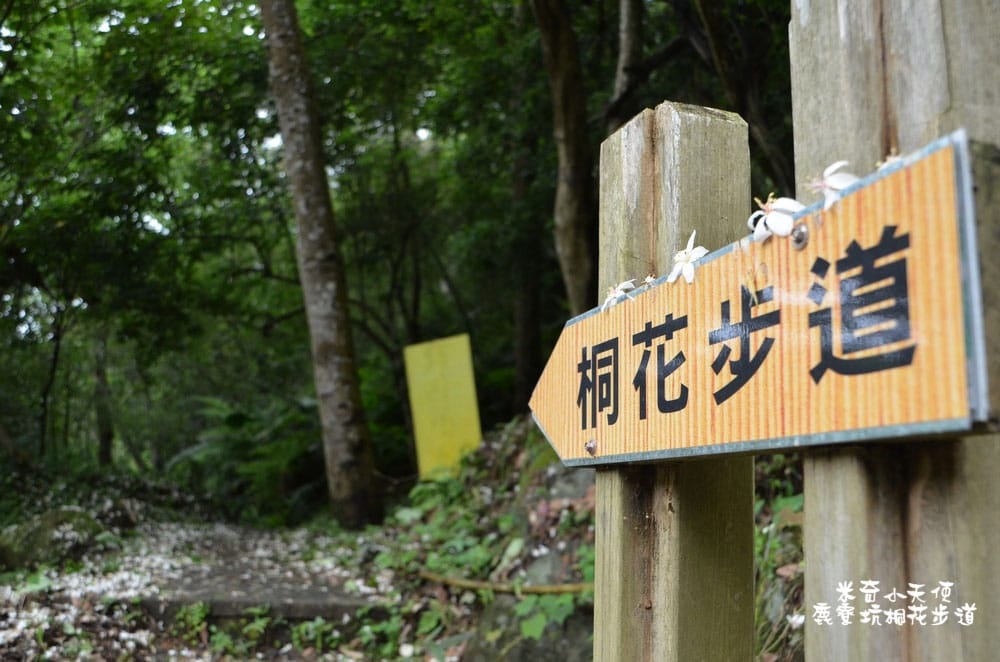 DSC_2518.jpg DSC_2518.jpg