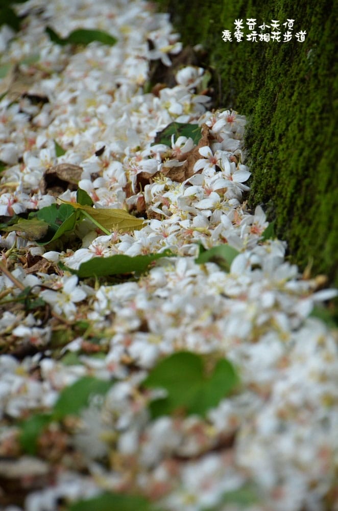 DSC_2472.jpg DSC_2472.jpg