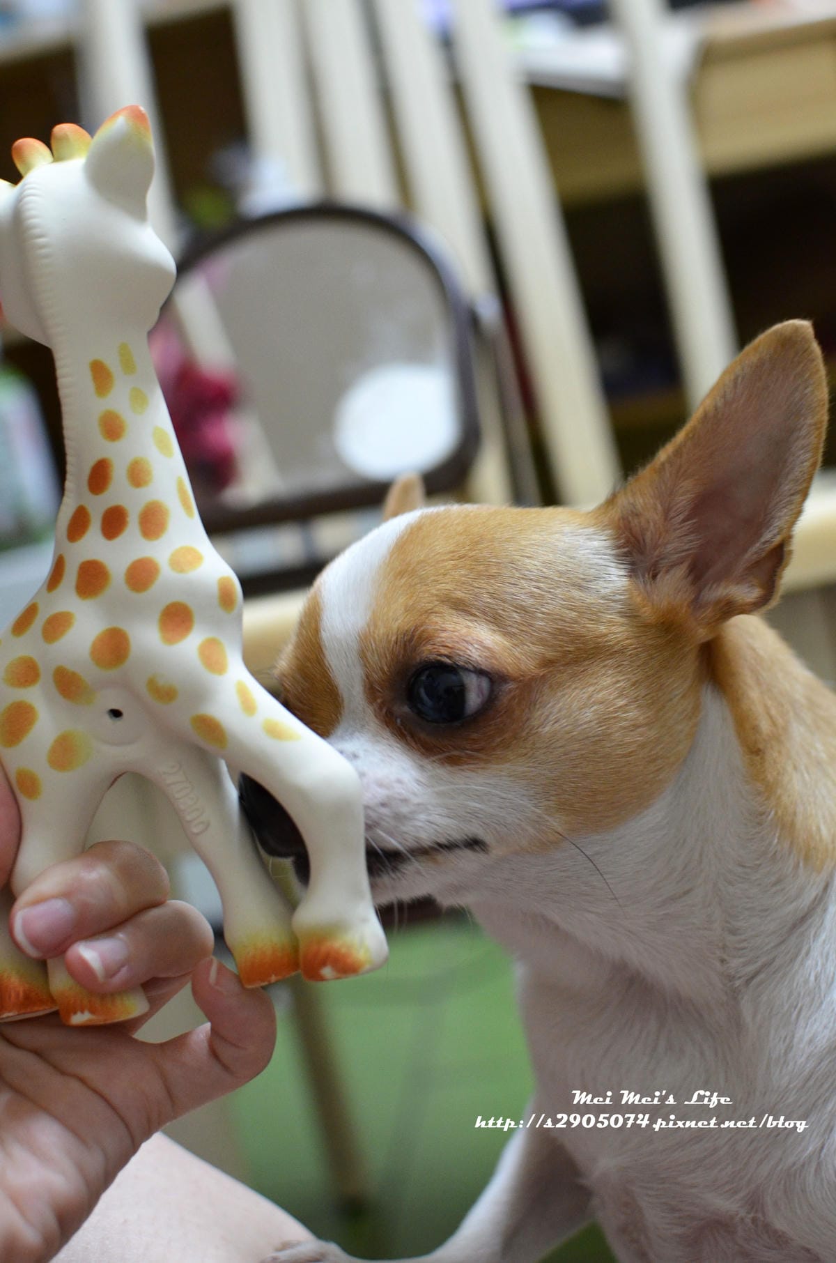 DSC_1890 DSC_1890