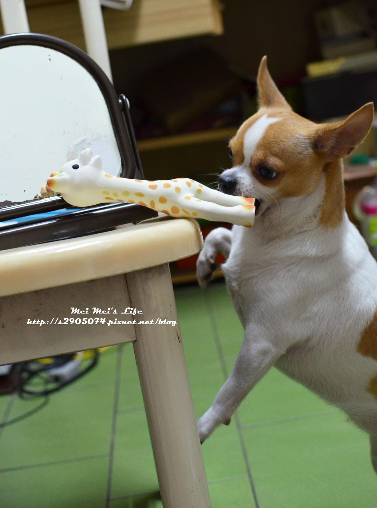 DSC_1897 DSC_1897