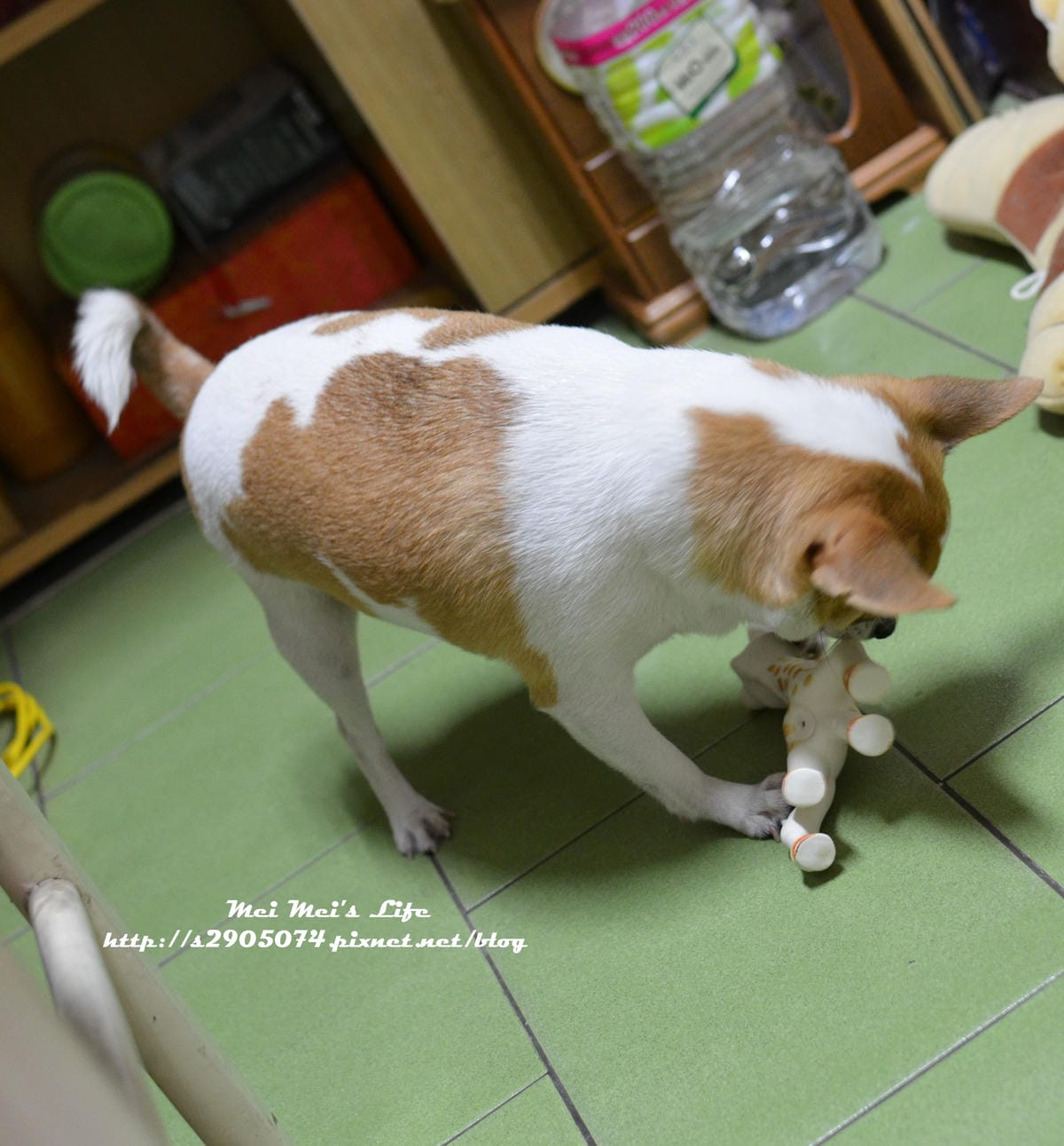 DSC_1914 DSC_1914