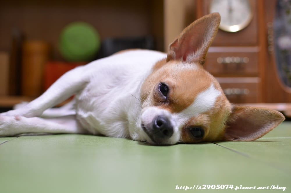 DSC_0854.jpg DSC_0854.jpg