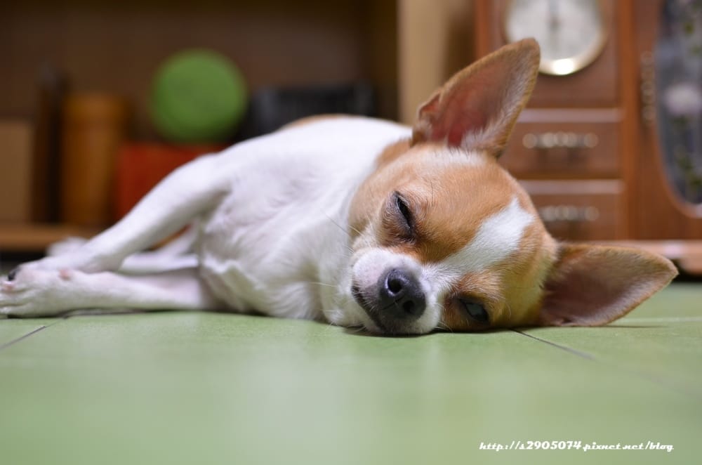 DSC_0855.jpg DSC_0855.jpg