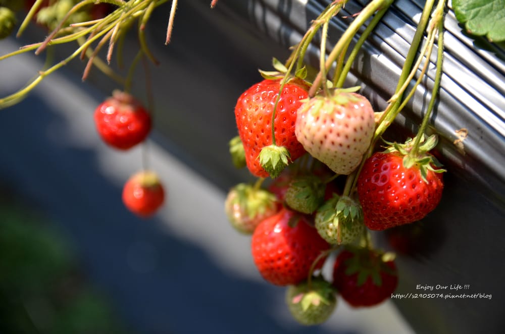 DSC_0765 DSC_0765