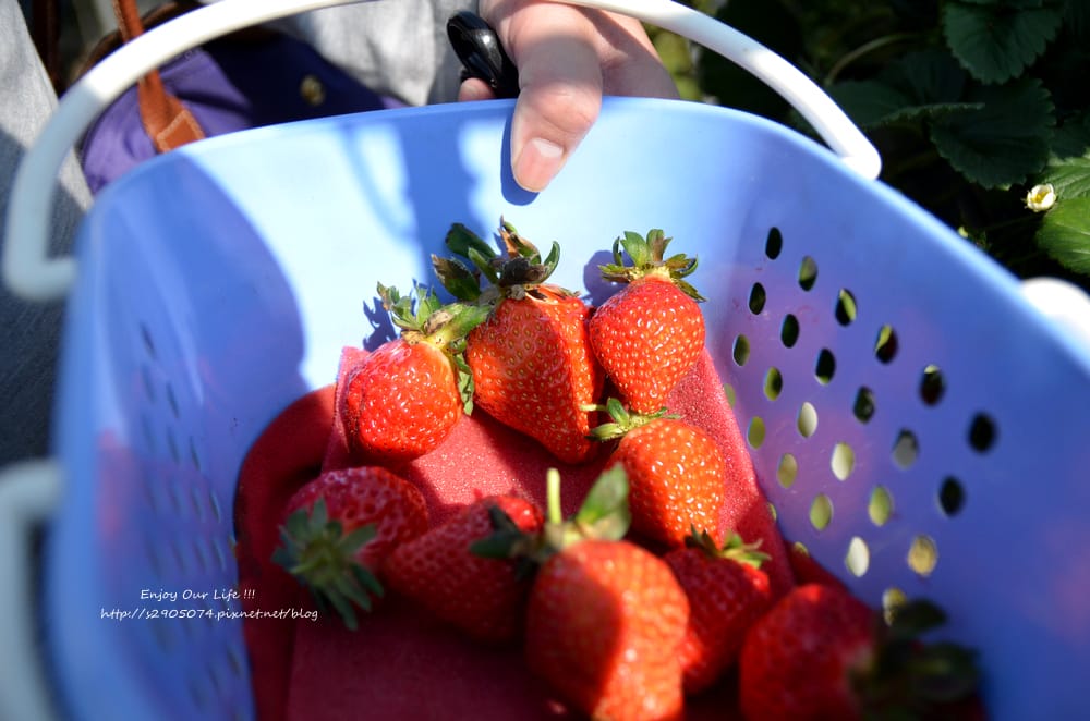 DSC_0728 DSC_0728