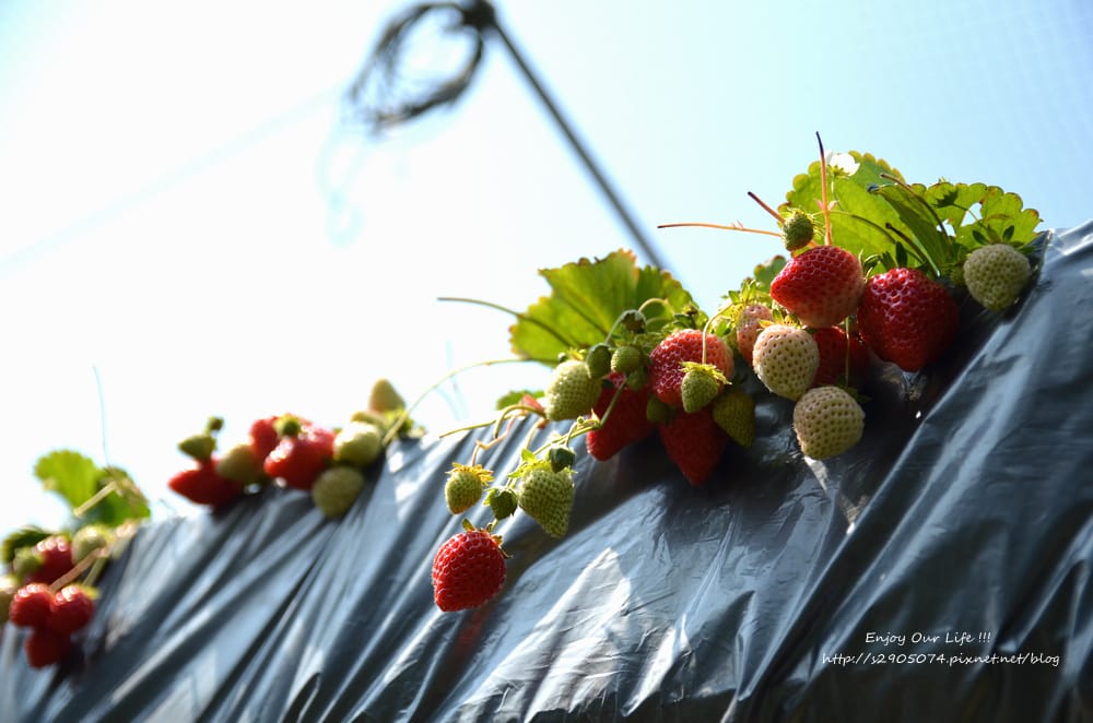 DSC_0692.jpg DSC_0692.jpg