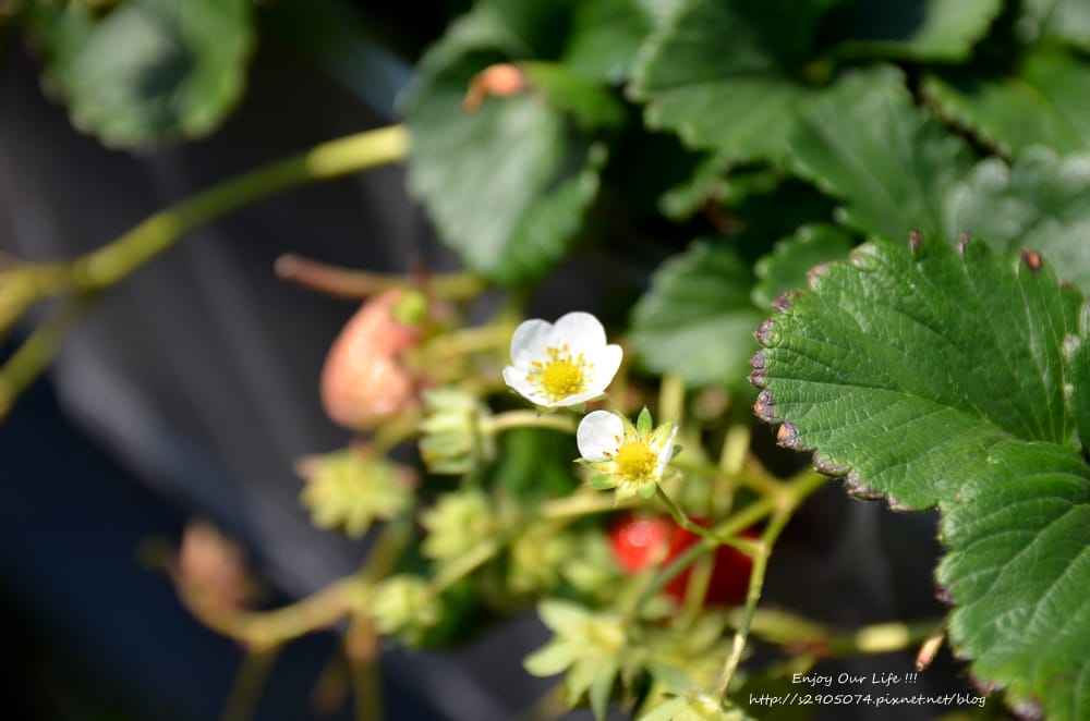 DSC_0705 DSC_0705