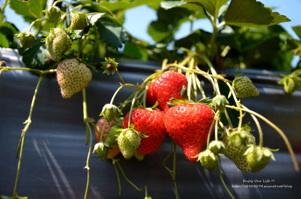 DSC_0744 DSC_0744