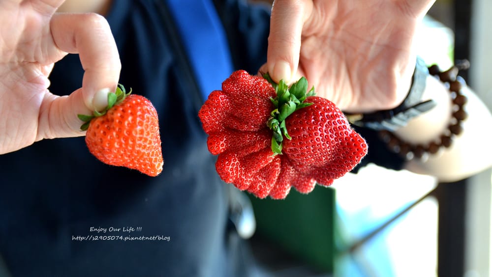 DSC_0791 DSC_0791