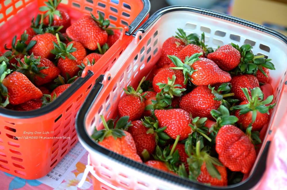 DSC_0792 DSC_0792