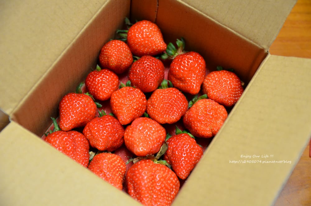 DSC_0871 DSC_0871