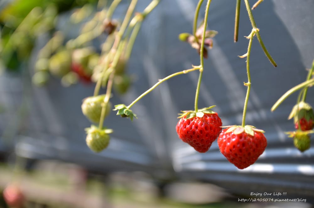 DSC_0706 DSC_0706