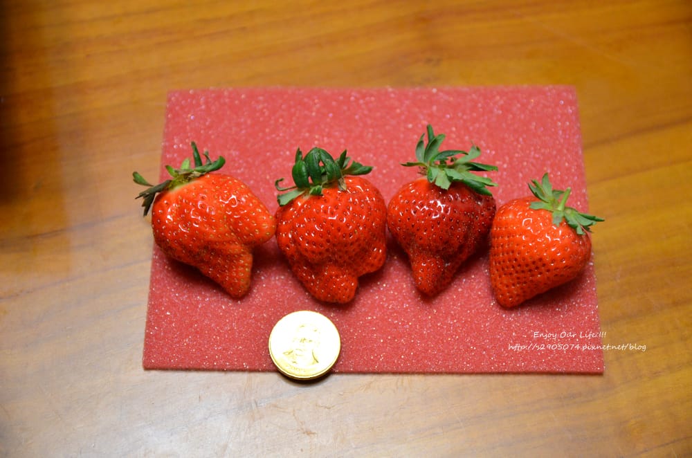 DSC_0876 DSC_0876