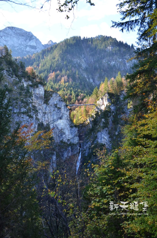 DSC_0136.jpg DSC_0136.jpg