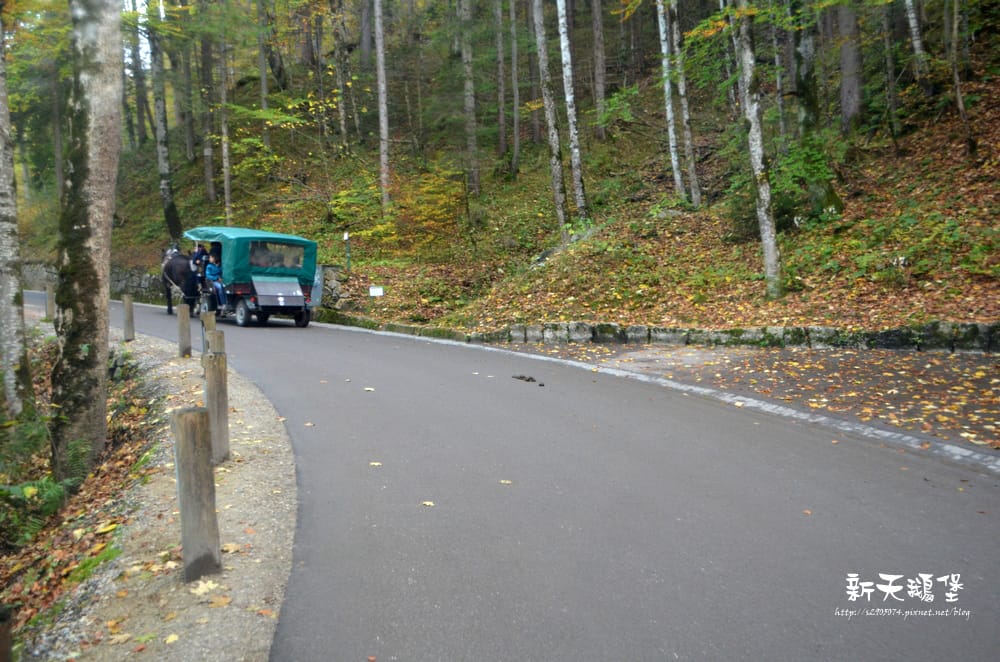 DSC_0198.jpg DSC_0198.jpg