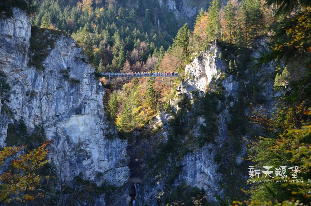 DSC_0139.jpg DSC_0139.jpg