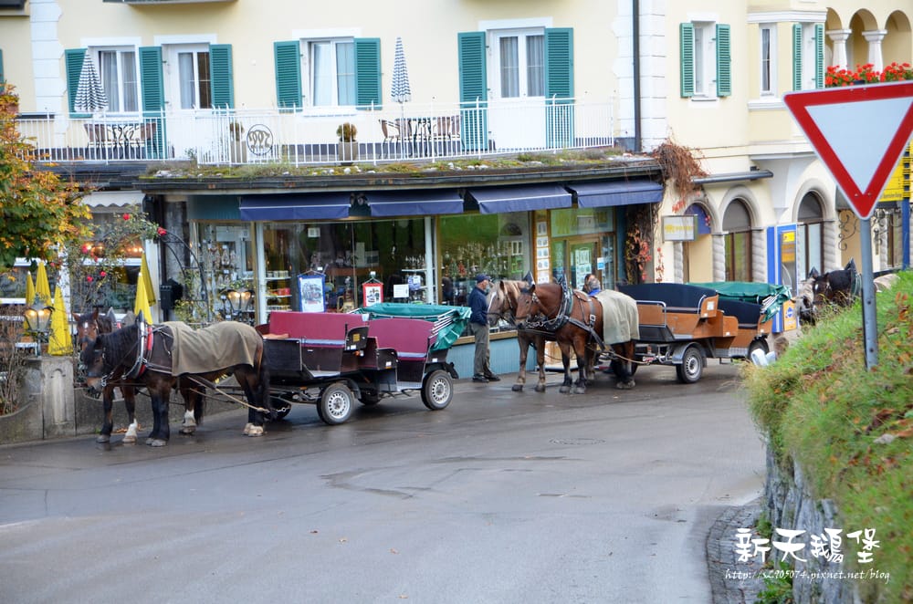 DSC_0021.jpg DSC_0021.jpg