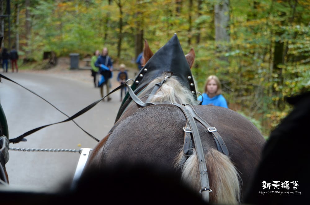 DSC_0197.jpg DSC_0197.jpg