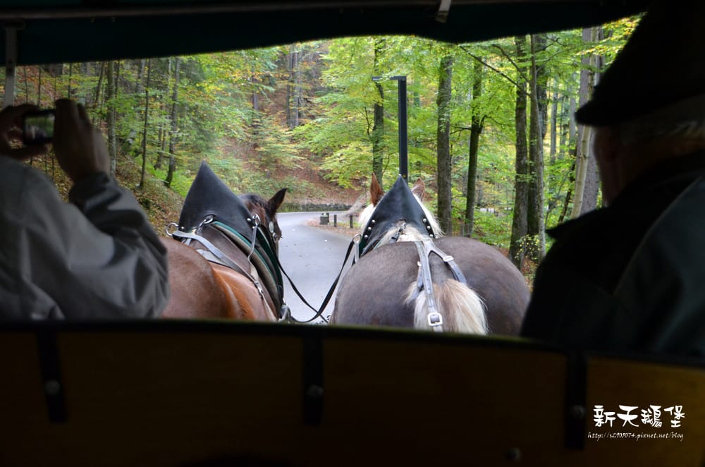 DSC_0195.jpg DSC_0195.jpg