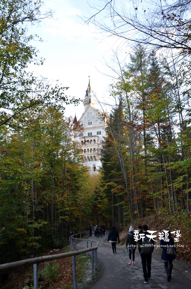 DSC_0074.jpg DSC_0074.jpg