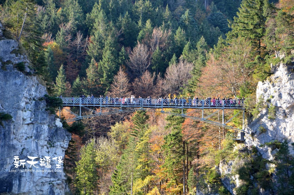 DSC_0141.jpg DSC_0141.jpg