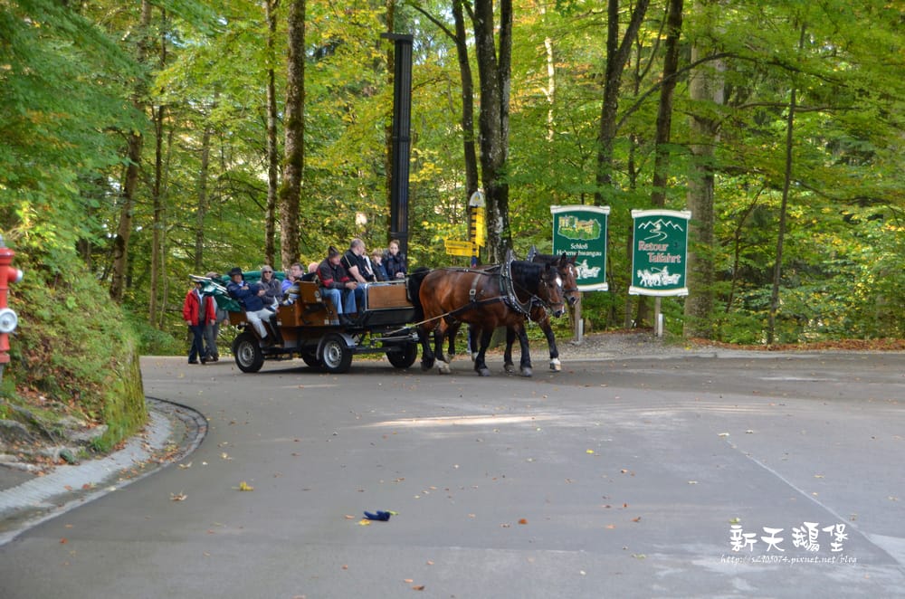DSC_0193.jpg DSC_0193.jpg