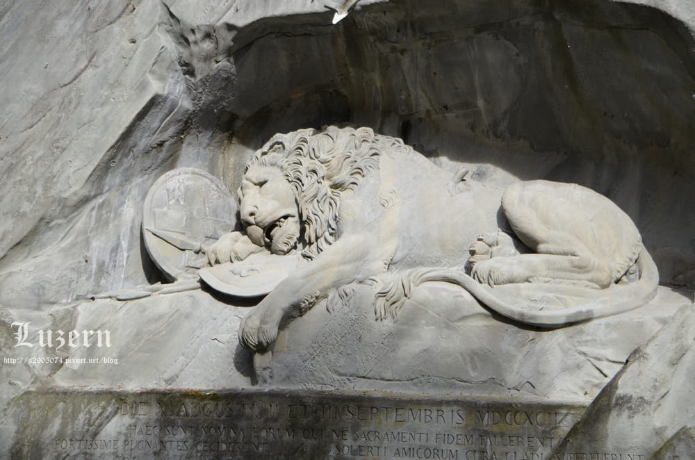 DSC_0802.jpg DSC_0802.jpg