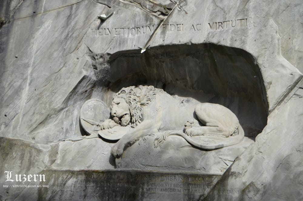 DSC_0804.jpg DSC_0804.jpg